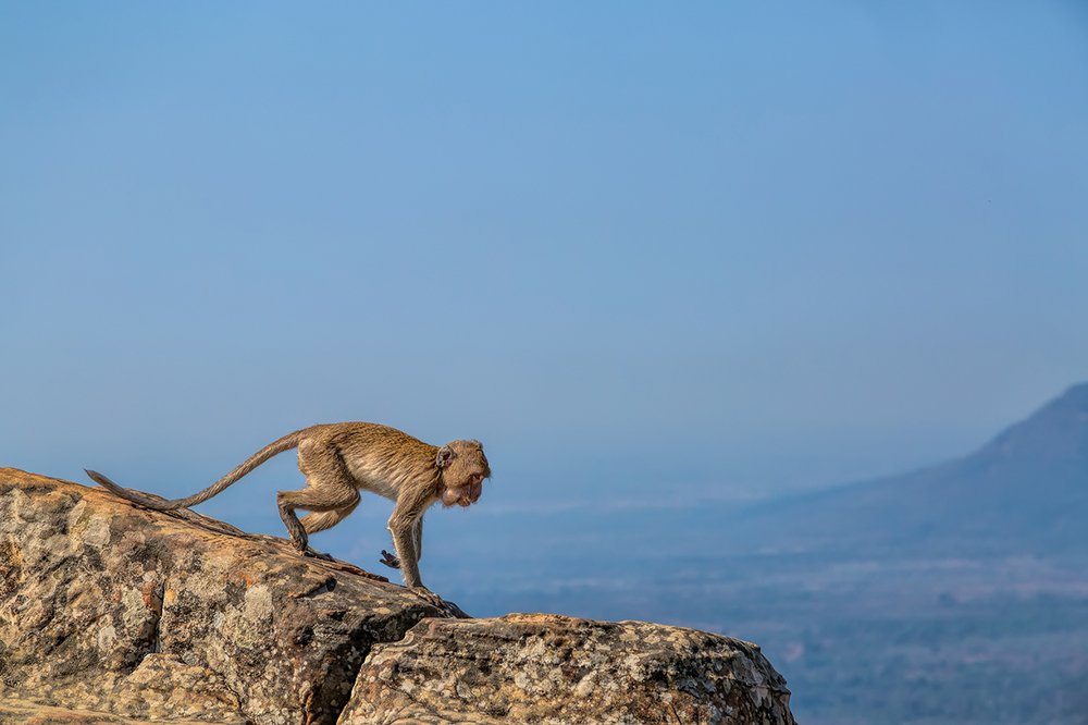 Photograph by Игорь Антипов