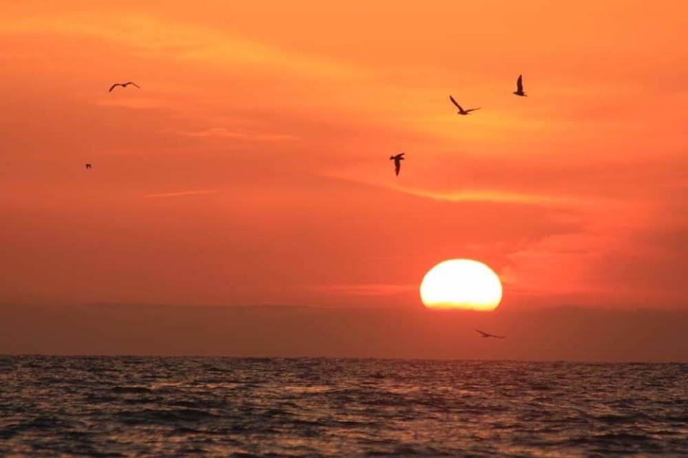 Photograph by Александр