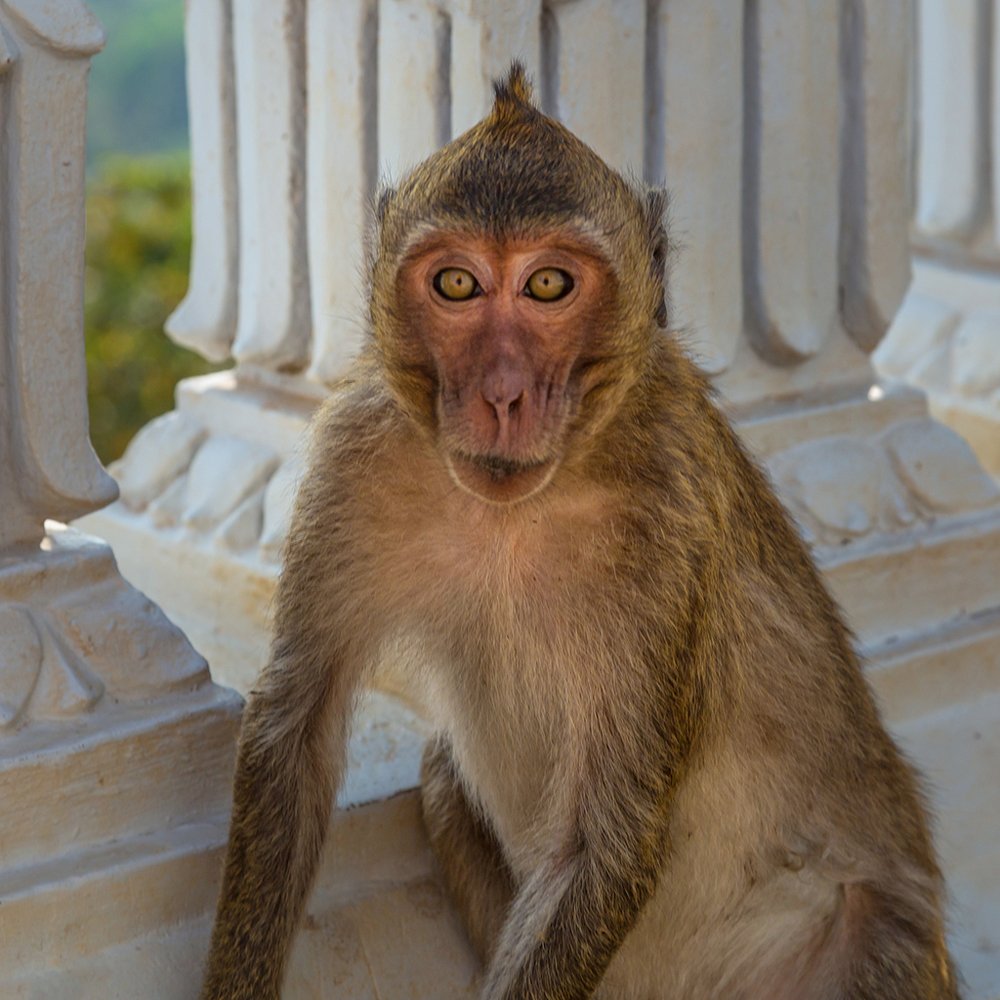 Photograph by Игорь Антипов