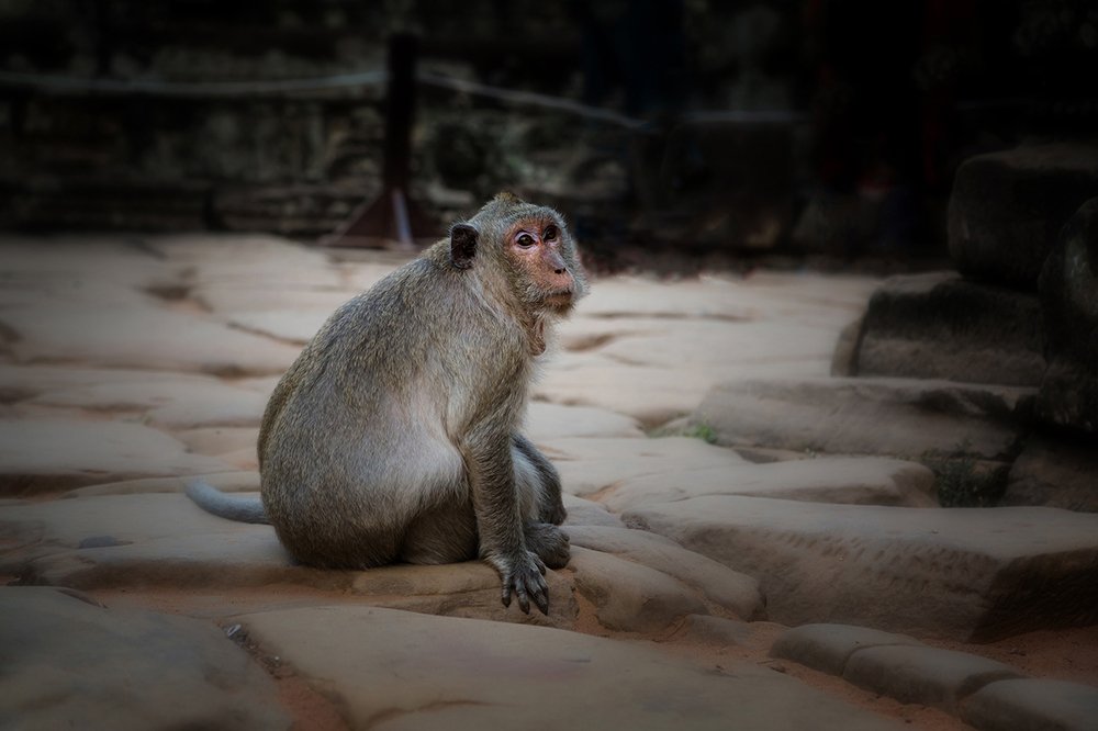 Photograph by Игорь Антипов