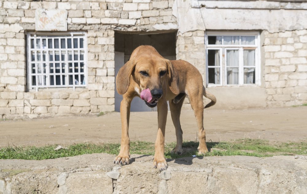Добро пожаловать!