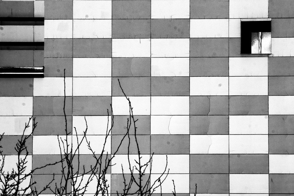 Фотография автора arabzadeh hossein