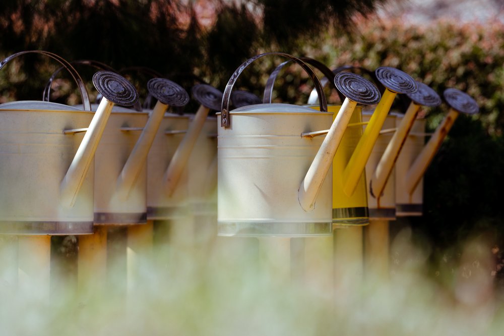 Photograph by  Michael