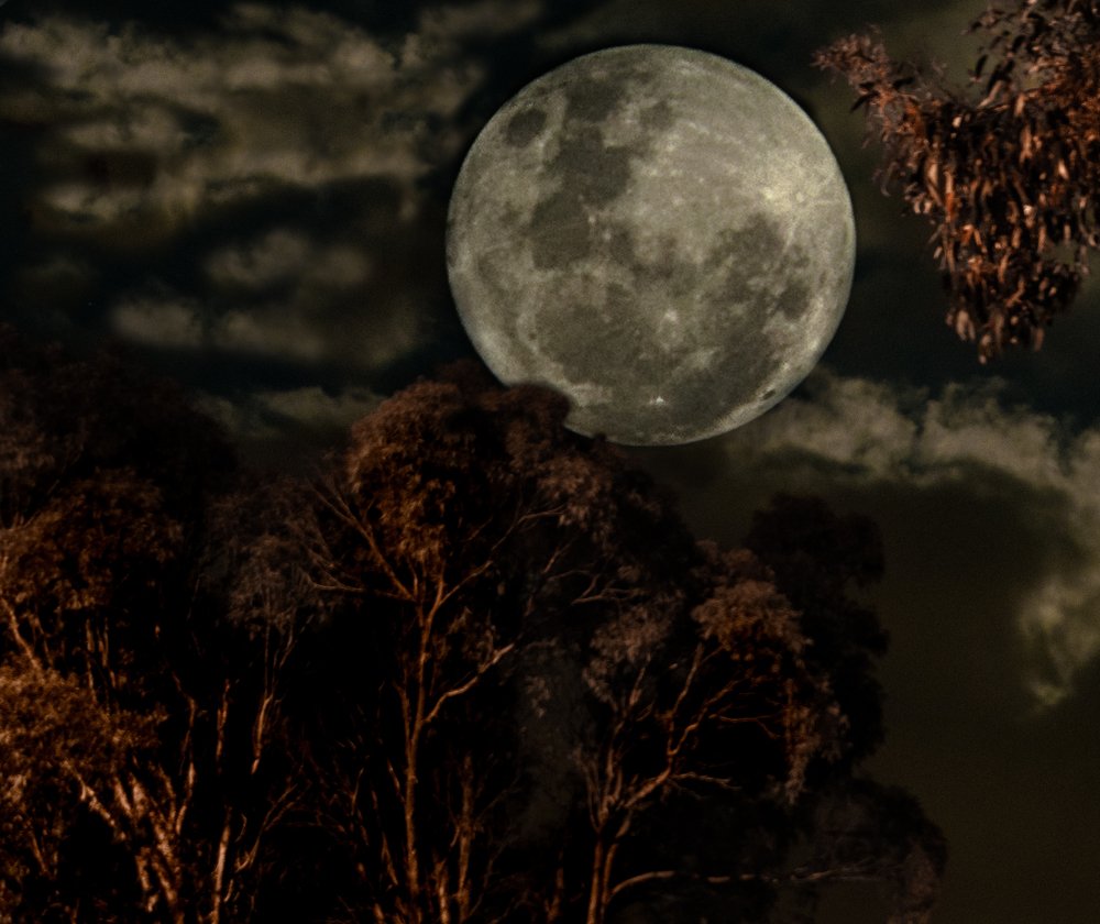 Photograph by  Michael