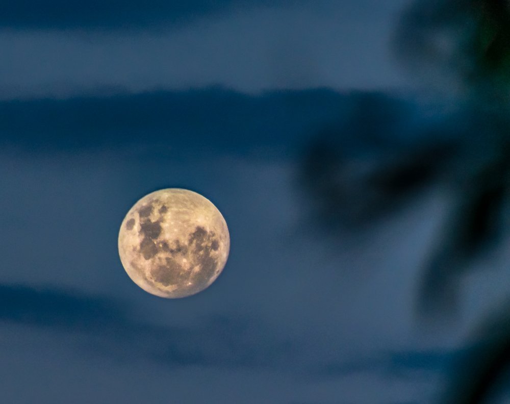 Photograph by  Michael