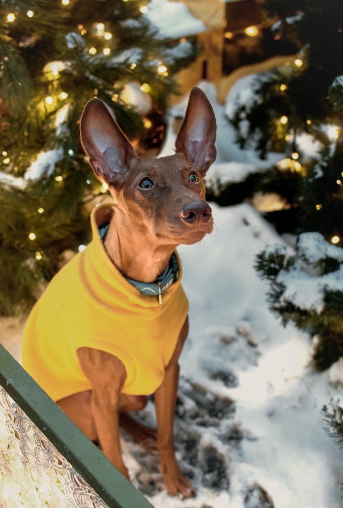 Photograph by Дарья Зайцева