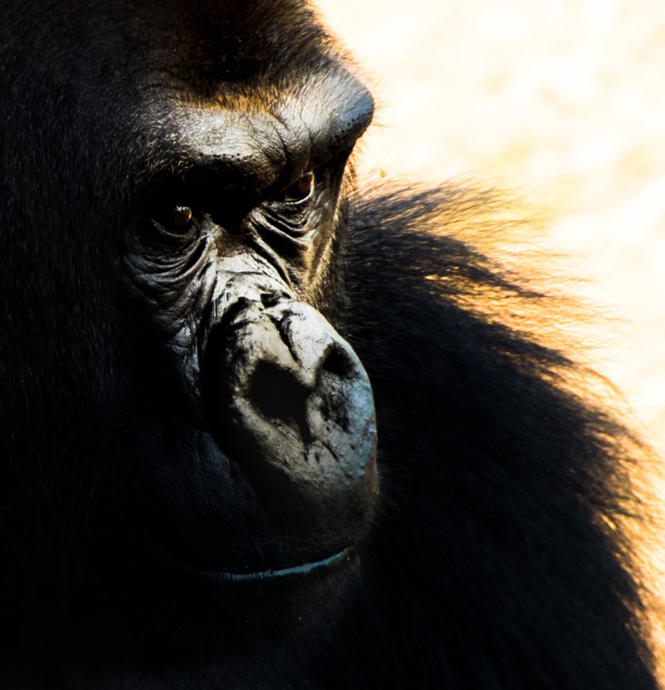 Photograph by  Michael