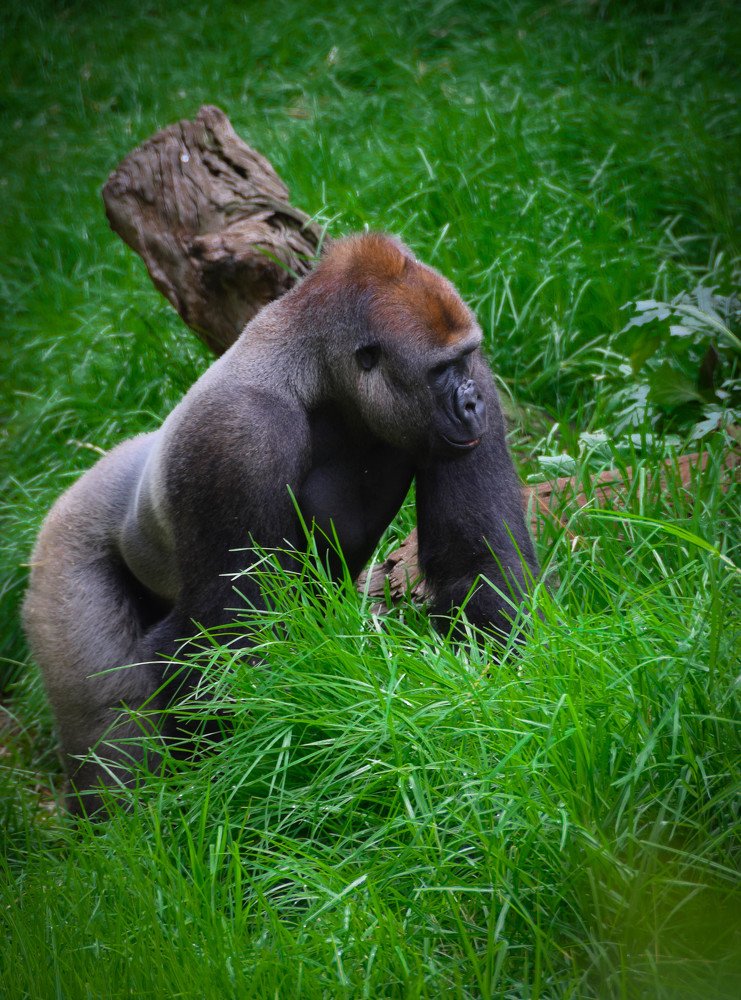 Photograph by  Michael