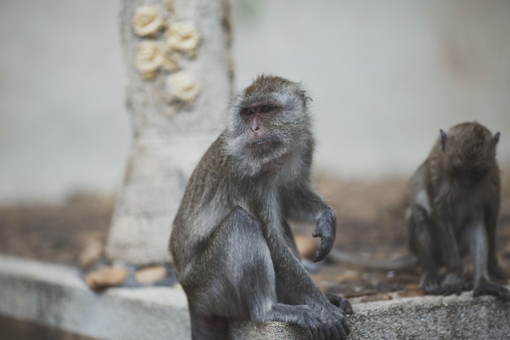 Photograph by Янка Партизанка