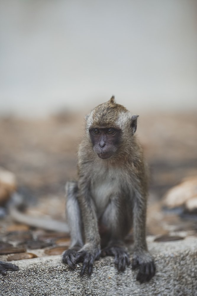 Photograph by Янка Партизанка