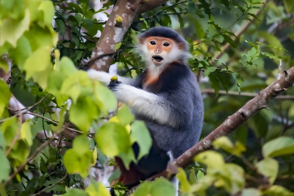 Photograph by Lê Trung Phùng