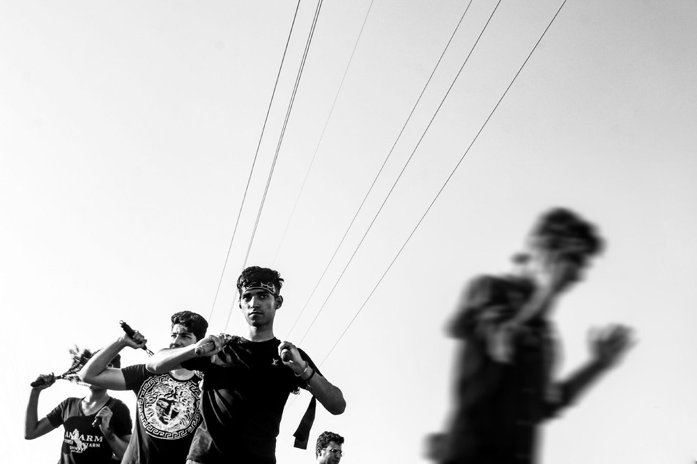 Фотография автора arabzadeh hossein