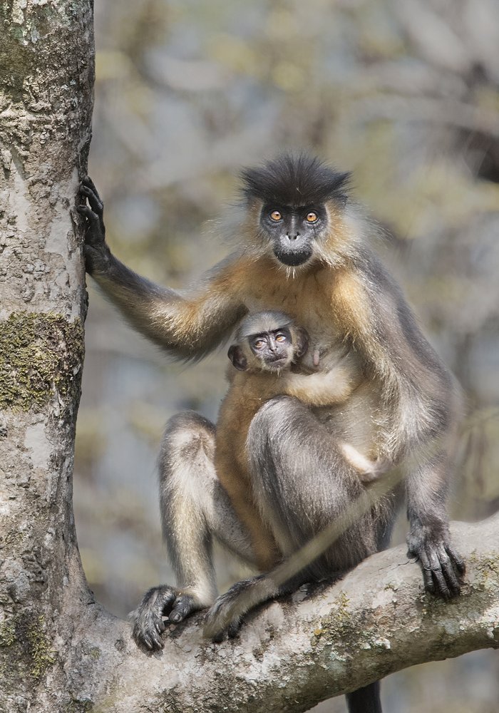 Photograph by MOMITA BHATTACHARYA