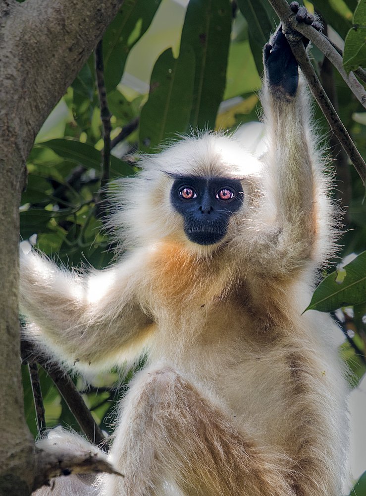 Photograph by MOMITA BHATTACHARYA