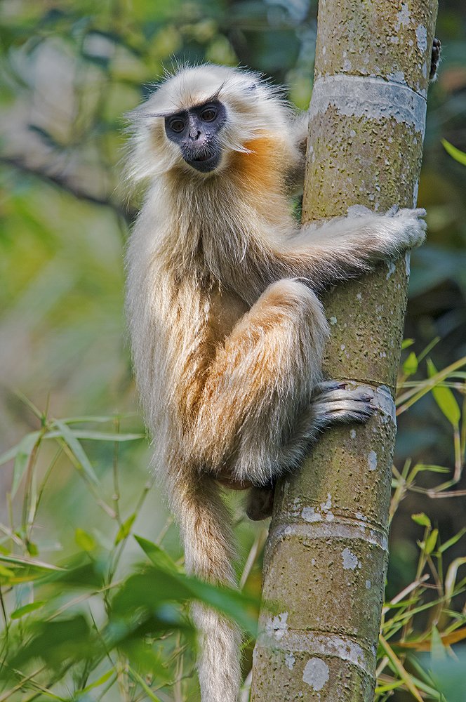 Photograph by MOMITA BHATTACHARYA