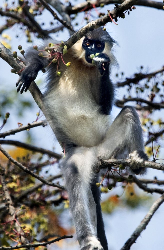 Photograph by MOMITA BHATTACHARYA