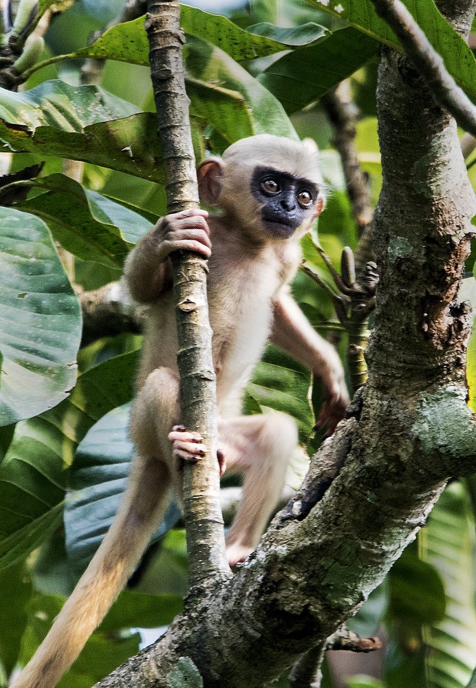 Photograph by MOMITA BHATTACHARYA