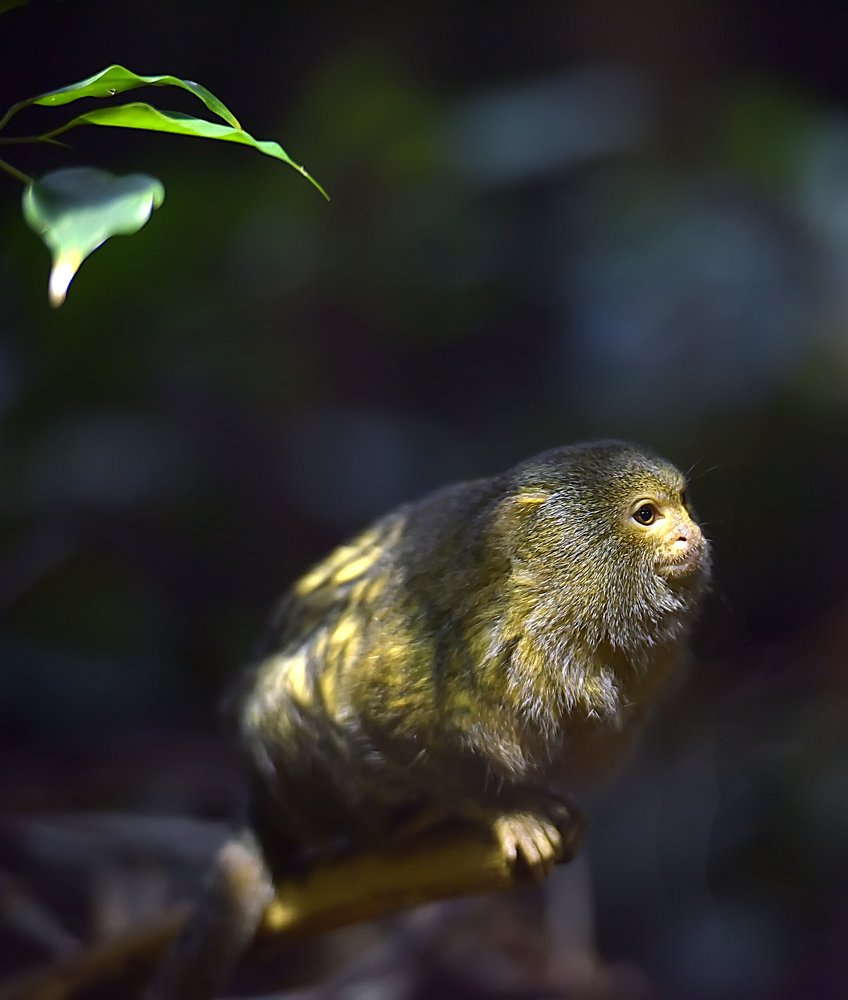 Photograph by Анна Кривицкая