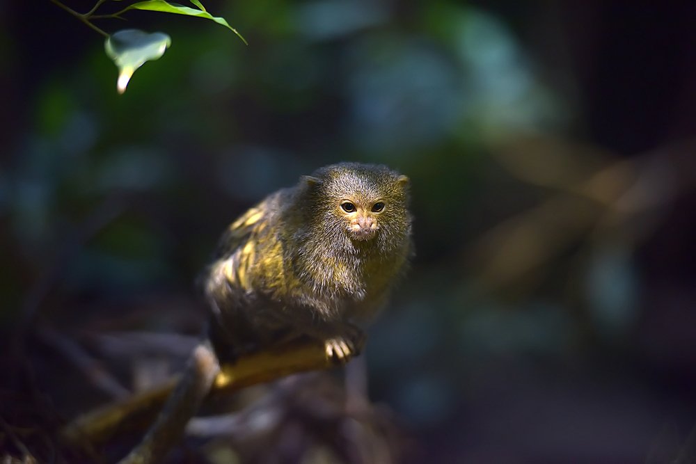 Photograph by Анна Кривицкая