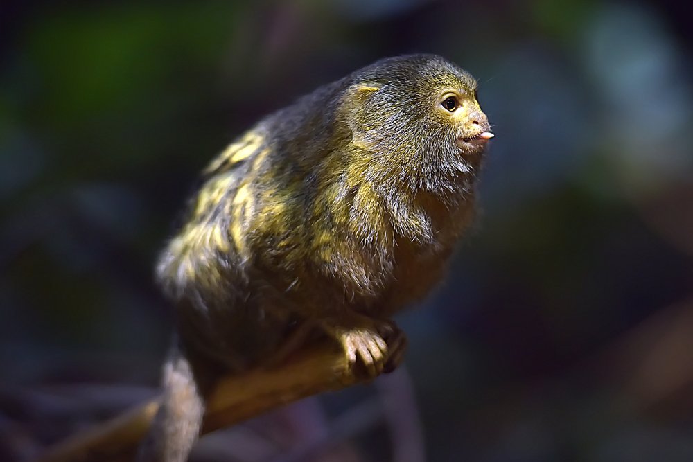 Photograph by Анна Кривицкая