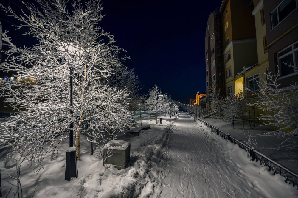 Photograph by Александр Шипов