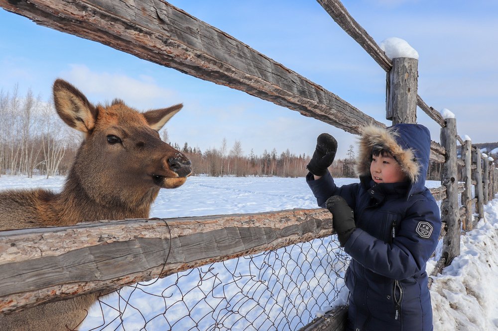 Здравствуй, друг!