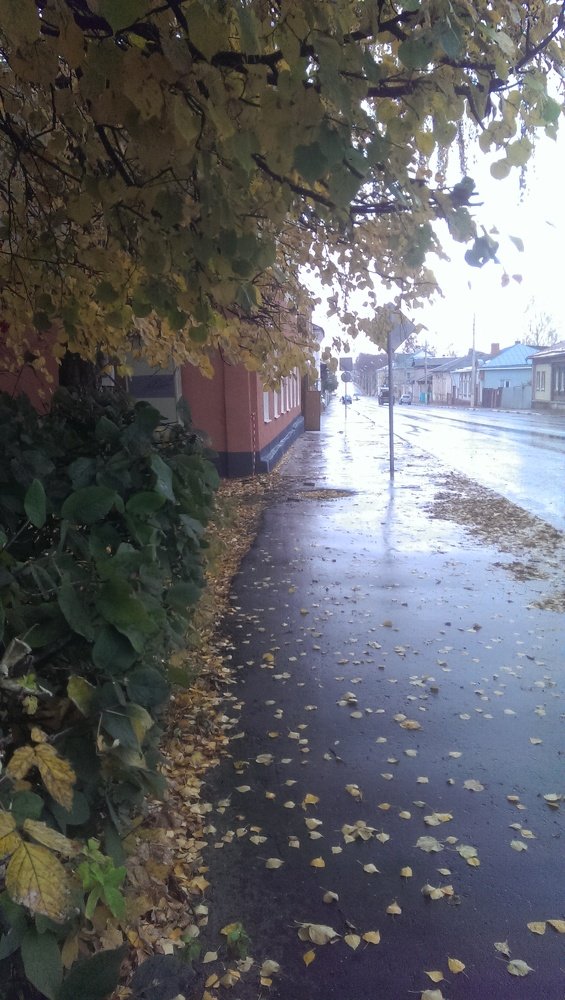 После дождя