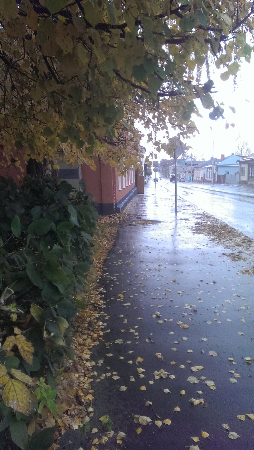 После дождя