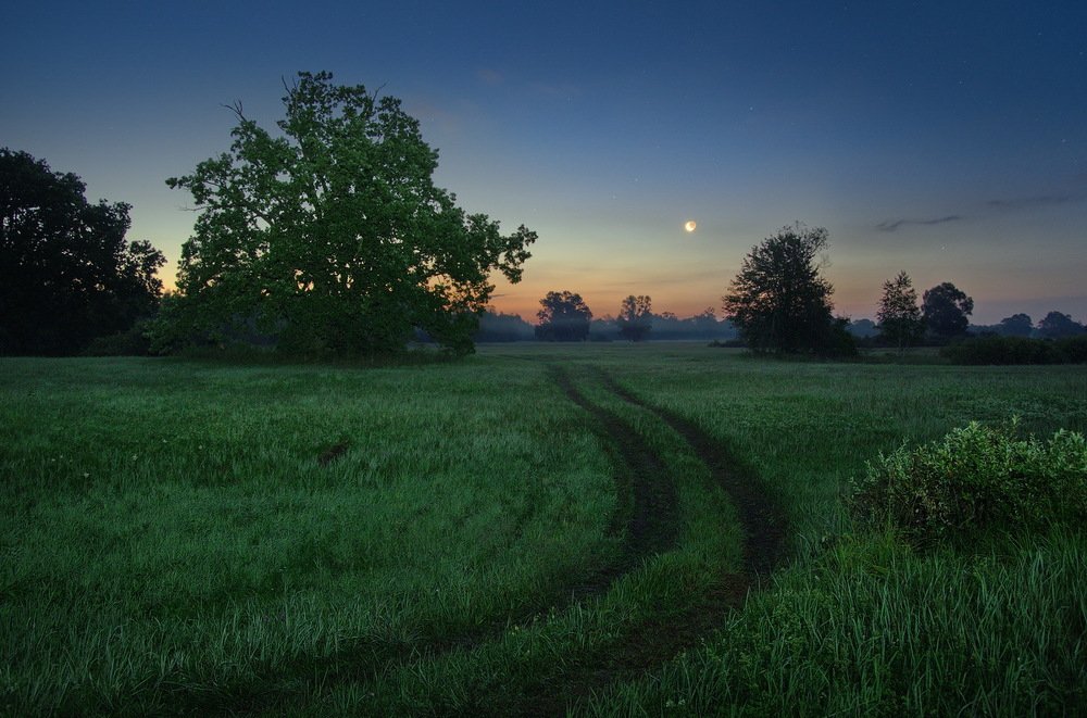 Photograph by Сергей Шляга