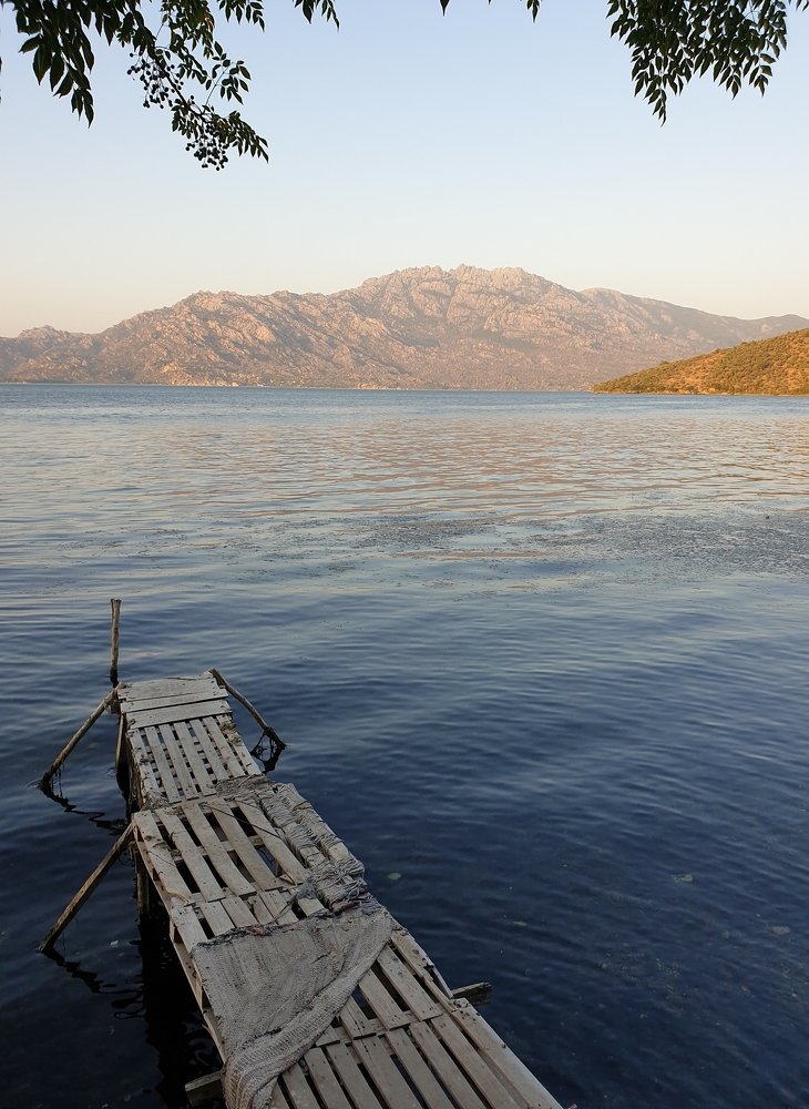 Photograph by Ольга Морозова