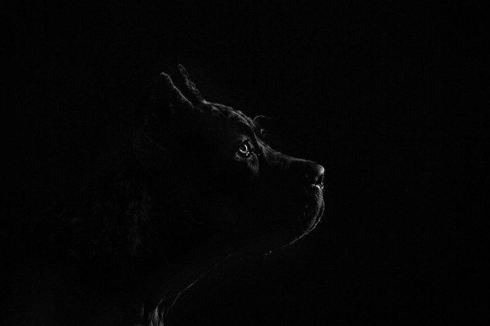 Photograph by Ирина Корх