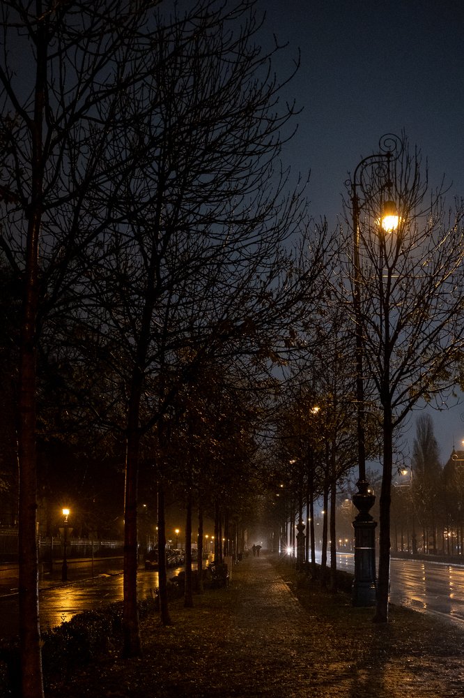 Photograph by Данил Луговой