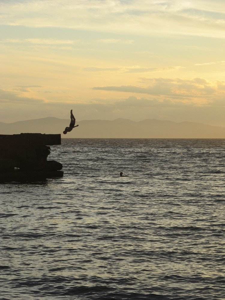 Photo #3989565
