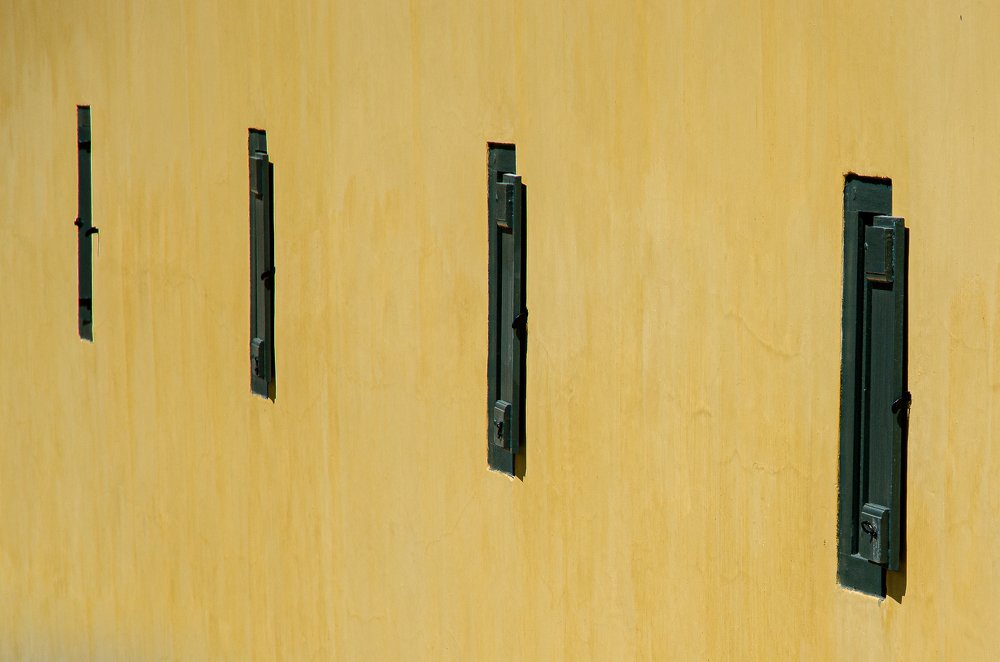 Photograph by Данил Луговой