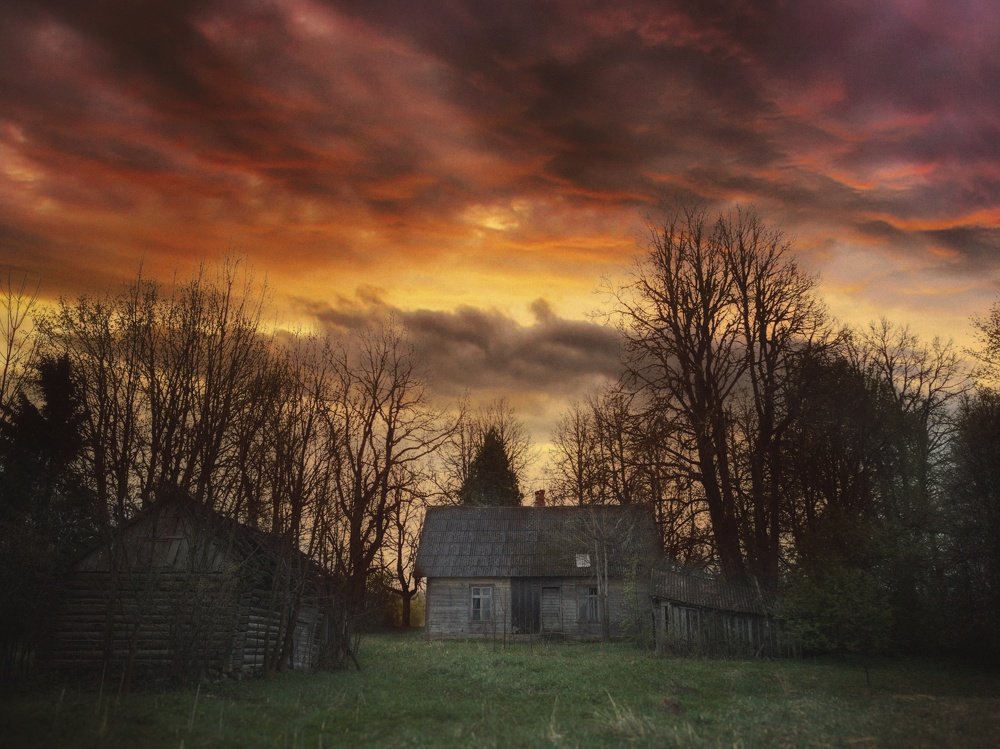 Photograph by Дмитрий Рябцев