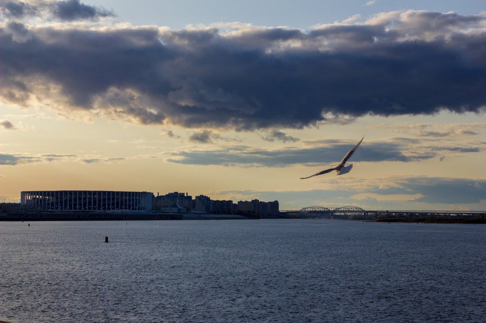 Photograph by Алексей Тимофеев