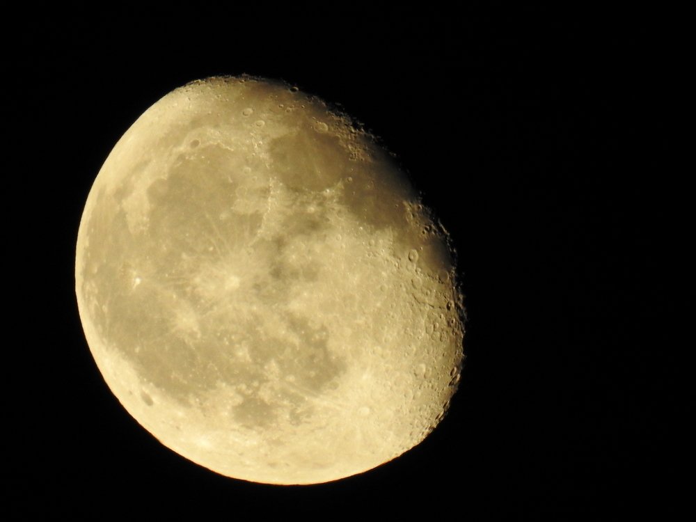 Photograph by Olga Bezak