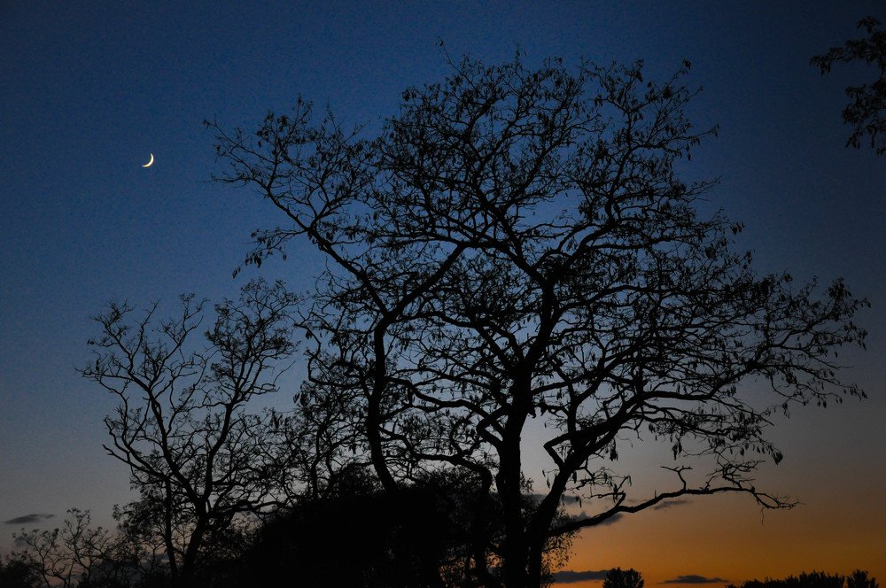 Photograph by Olga Bezak