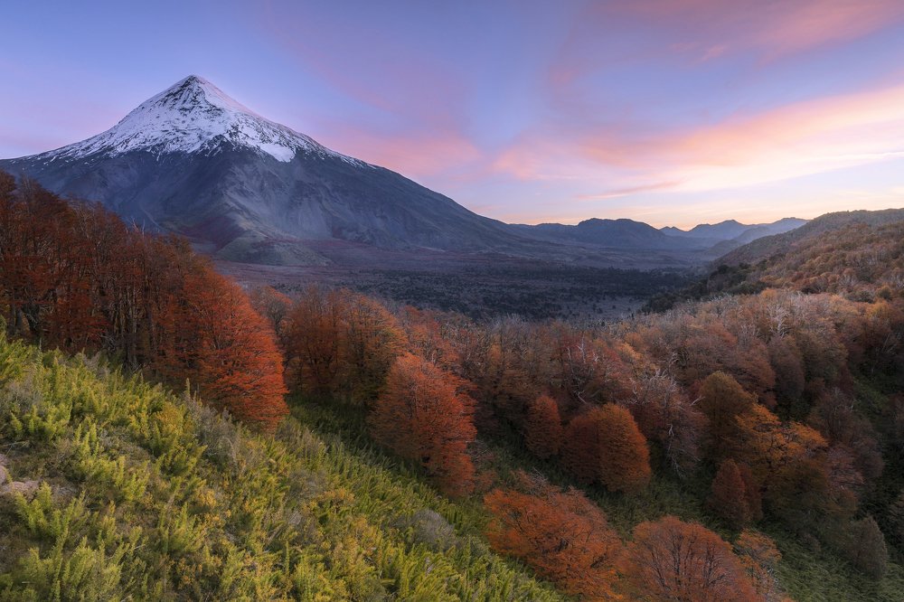 Photograph by Francisco Woloch