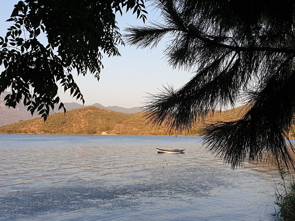 Photograph by Ольга Морозова