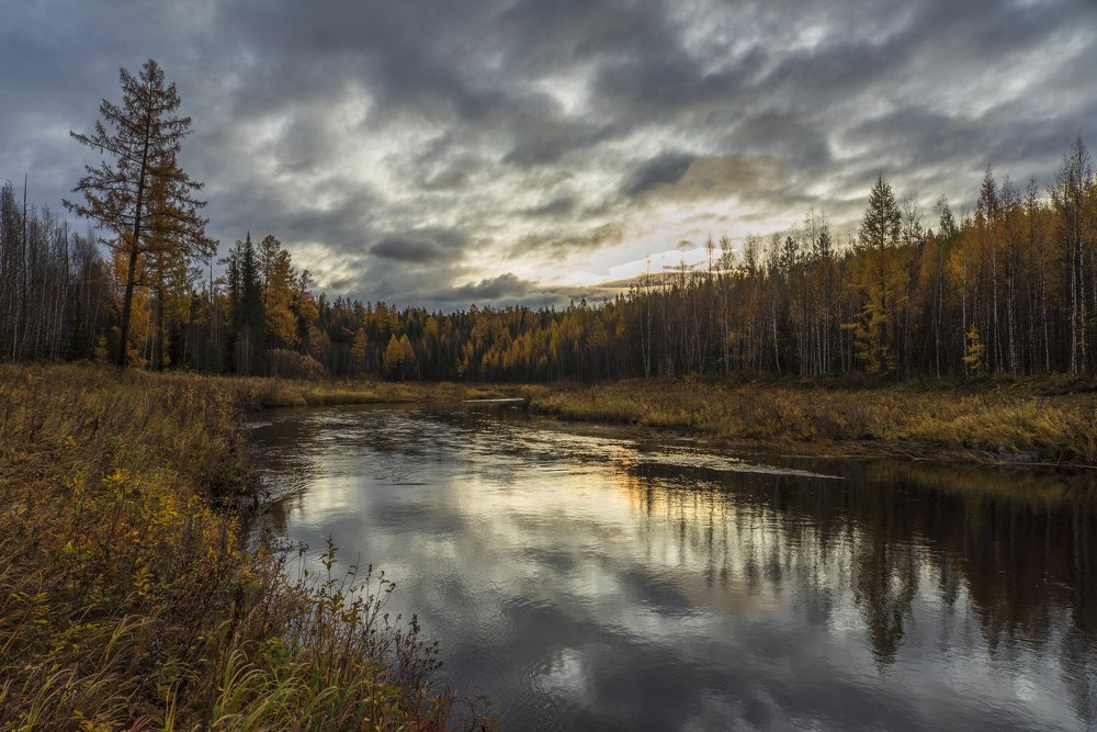 Рассвет на реке