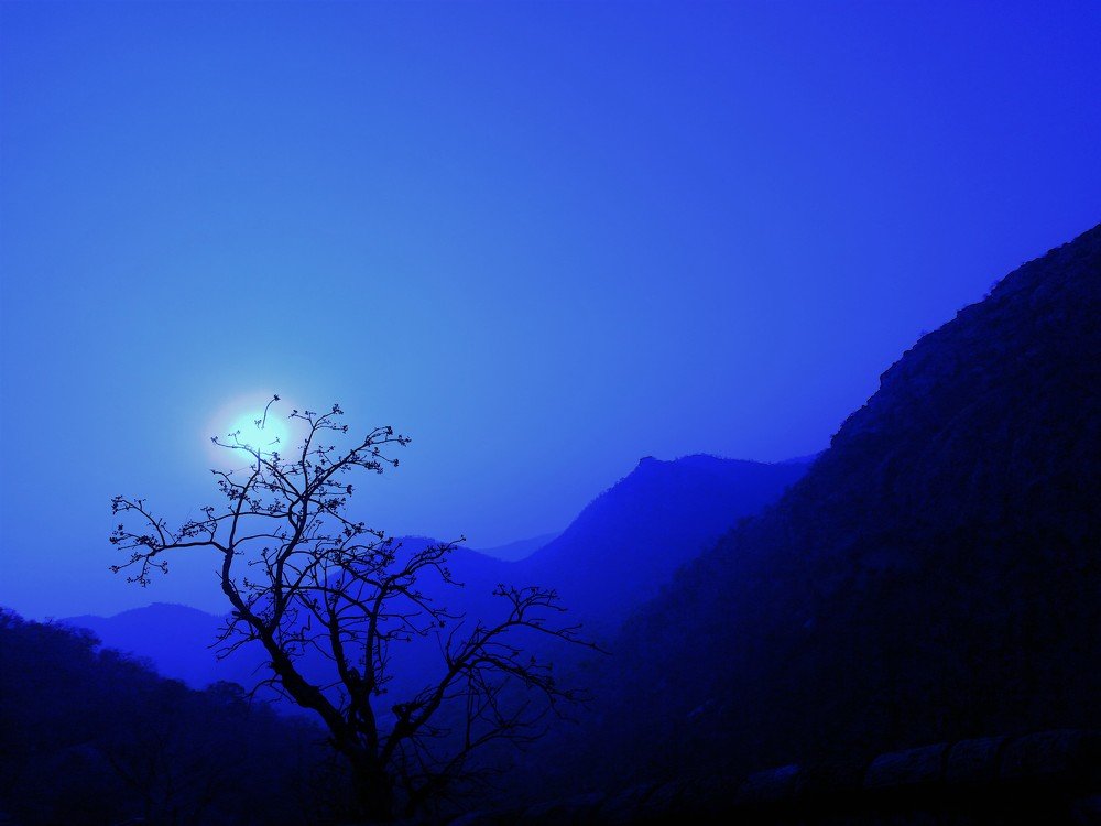 Photograph by Swapnesh Gupta