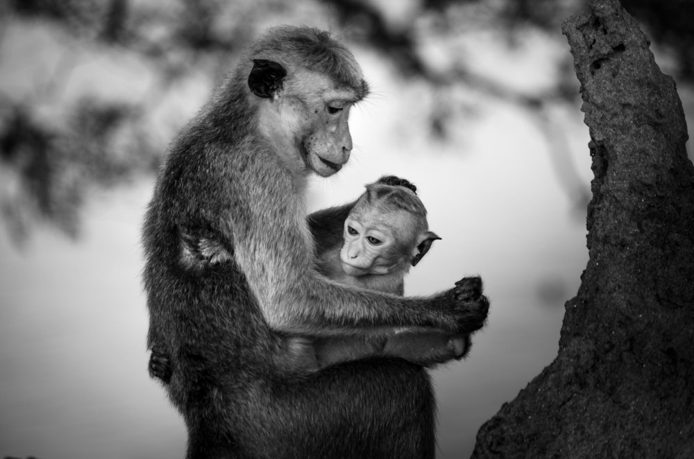 Photograph by Artsrun Ganjalyan