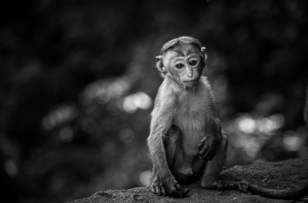 Photograph by Artsrun Ganjalyan