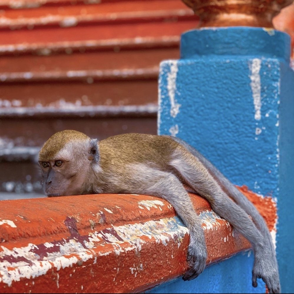 Photograph by Hadi Fairuz