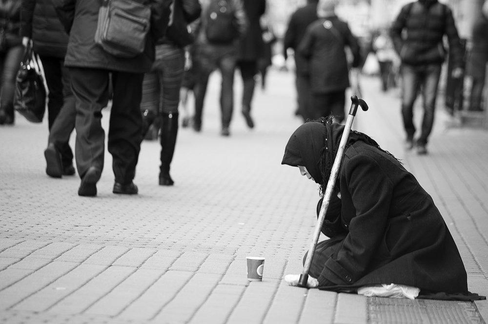 Photograph by Анастасия Ломаева