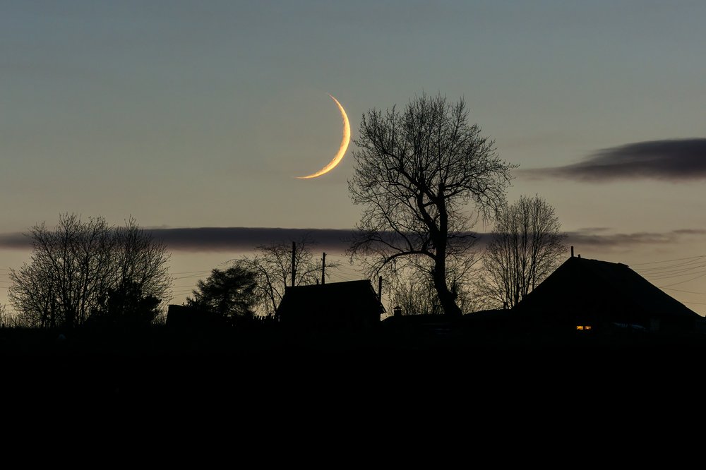 «Прикосновение».