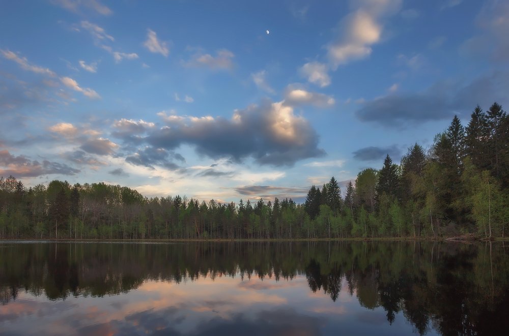 Photograph by Таня SHE (Aiya)