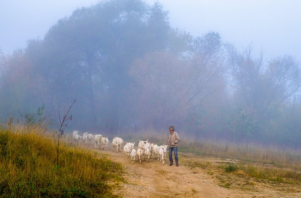 Photograph by Сычев Эдуард