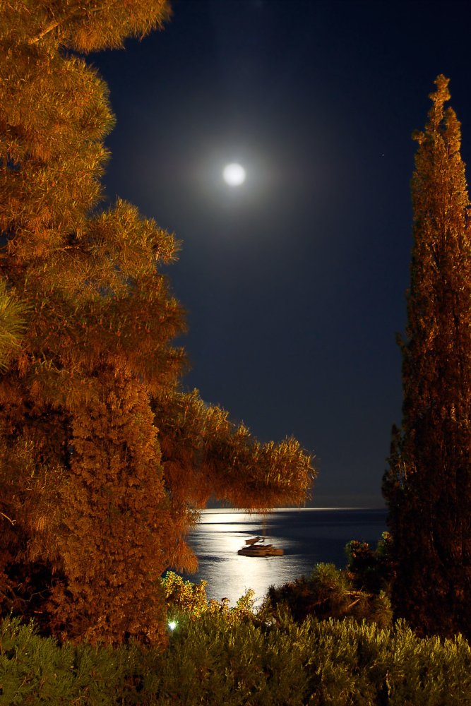 Photograph by Людмила Сиденко